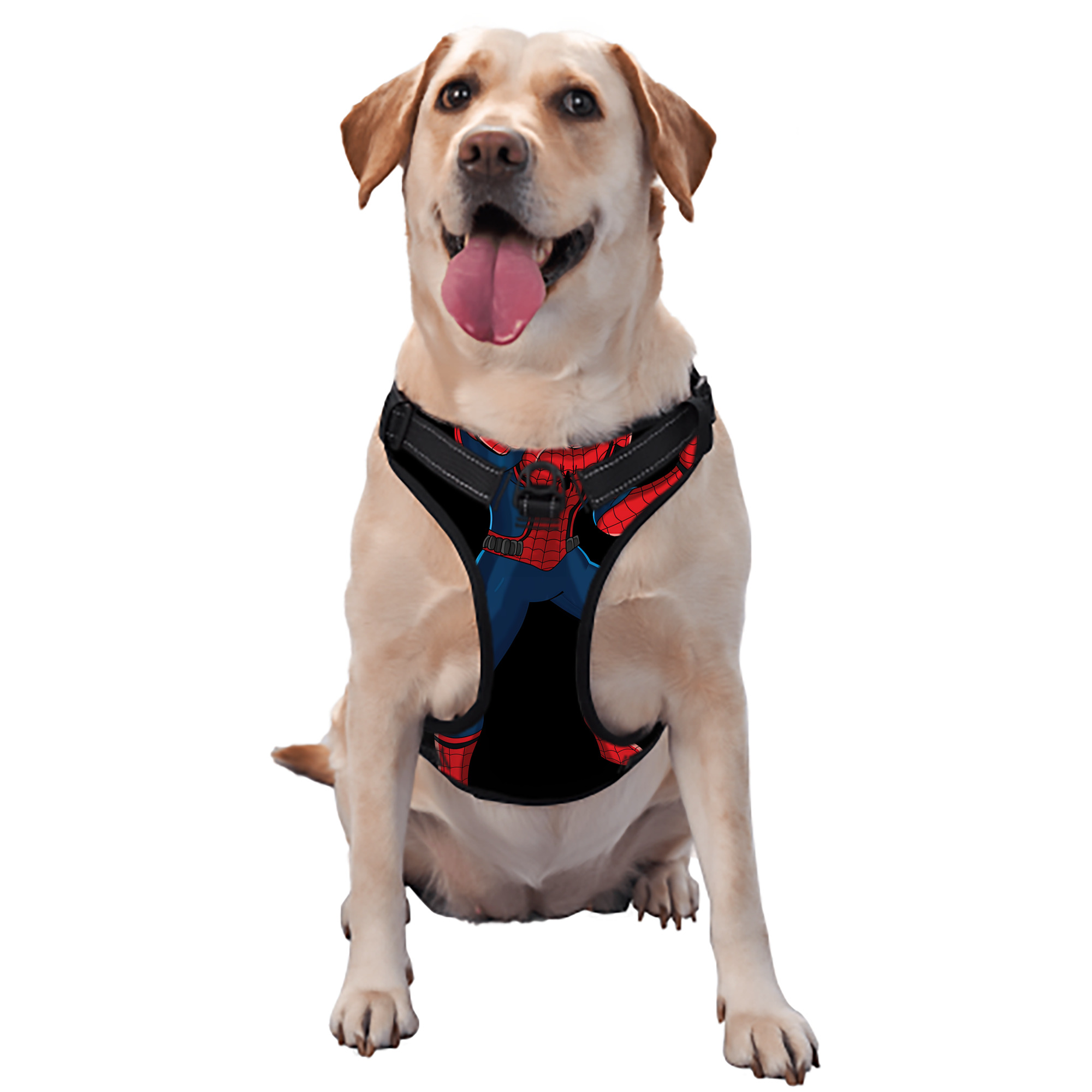 （画像用） Spider Man スパイダーマン ペット用ハーネス